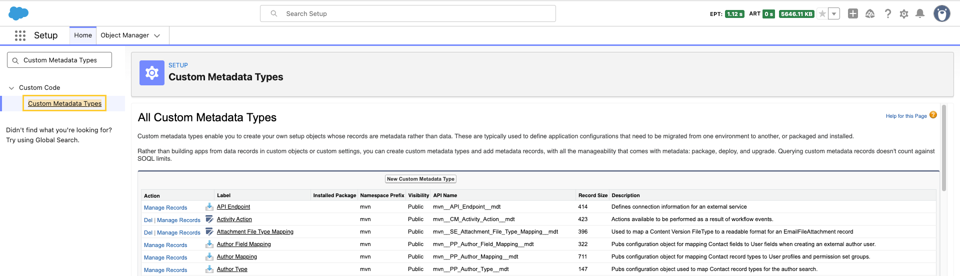 Custom Metadata Types