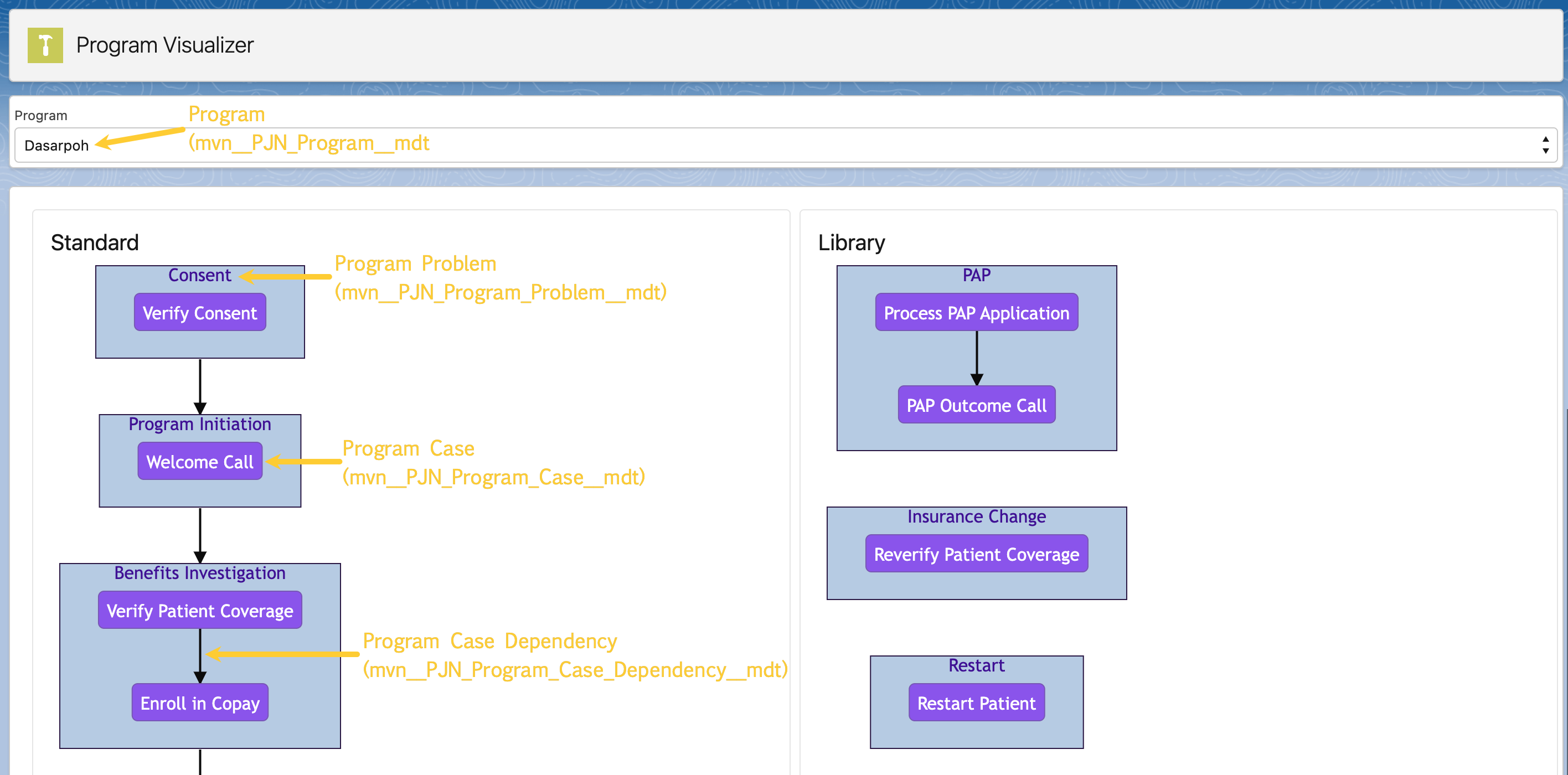 Program Visualizer custom metadata types