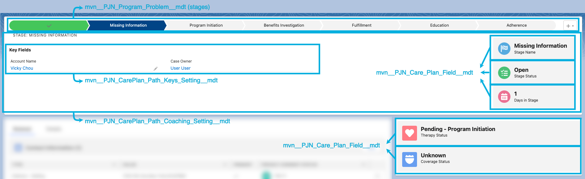 Care plan stage progress custom metadata types