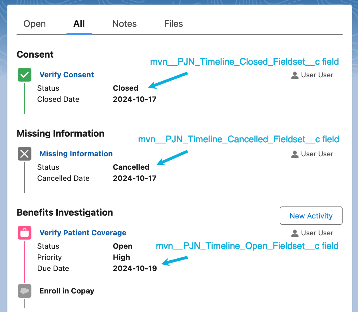 PSP_CarePlanV2_TimelineFields.png