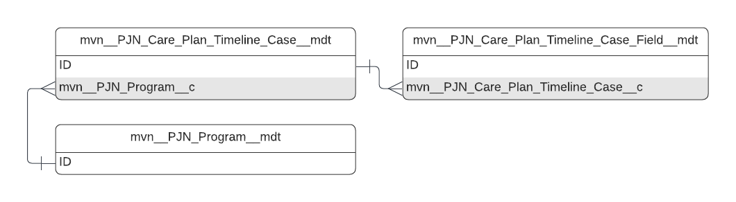 mvn__PJN_Care_Plan_Timeline__mdt ERD