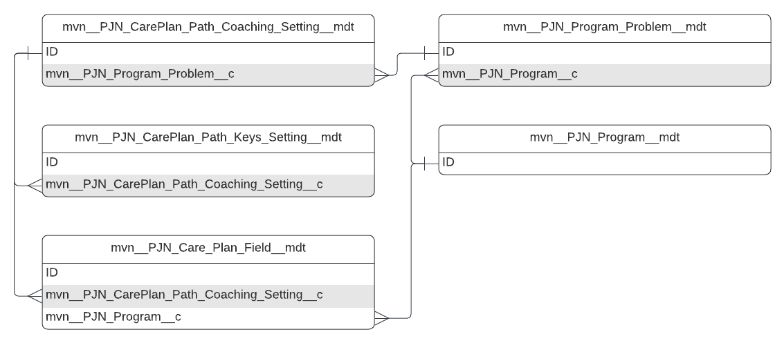 mvn__PJN_CarePlan_Path_Coaching_Setting__mdt ERD