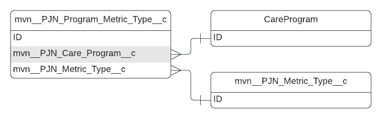 mvn__PJN_Program_Metric_Type__c.png