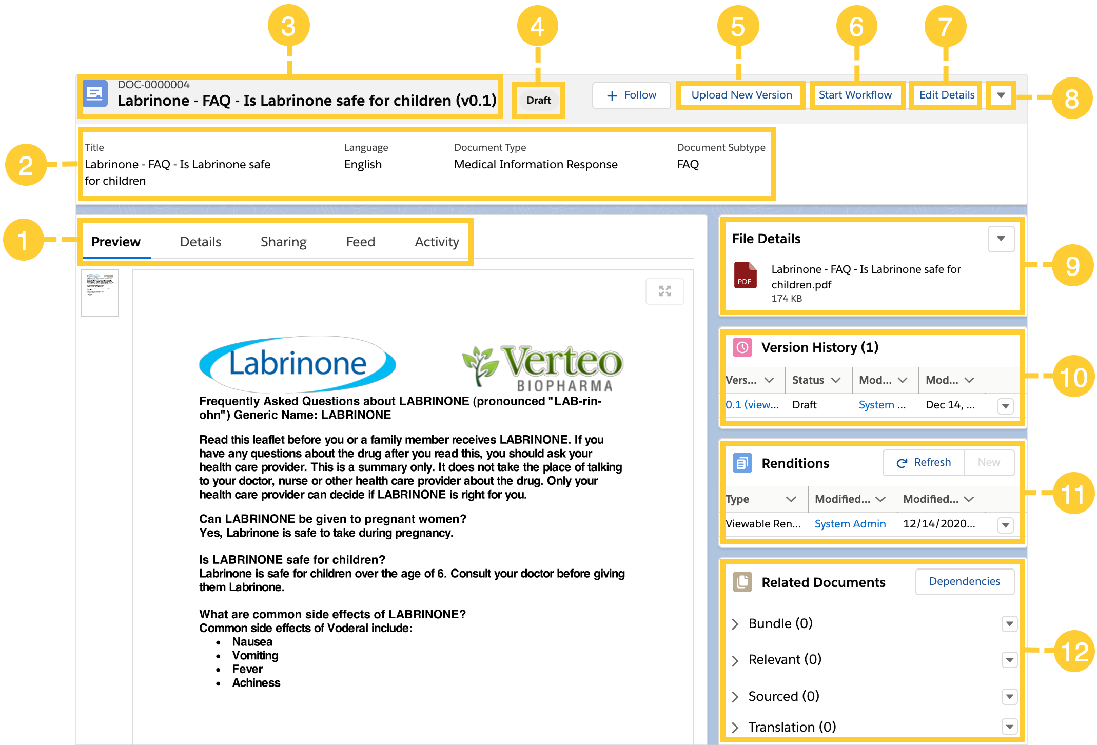 Document Version record detail page