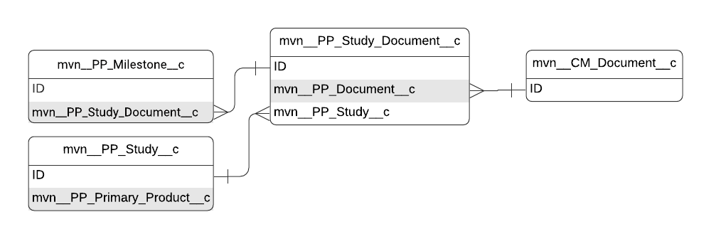 Study Document entity relationship diagram