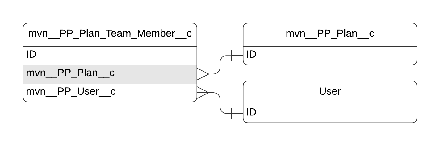 mvn__PP_Plan_Team_Member__c ERD