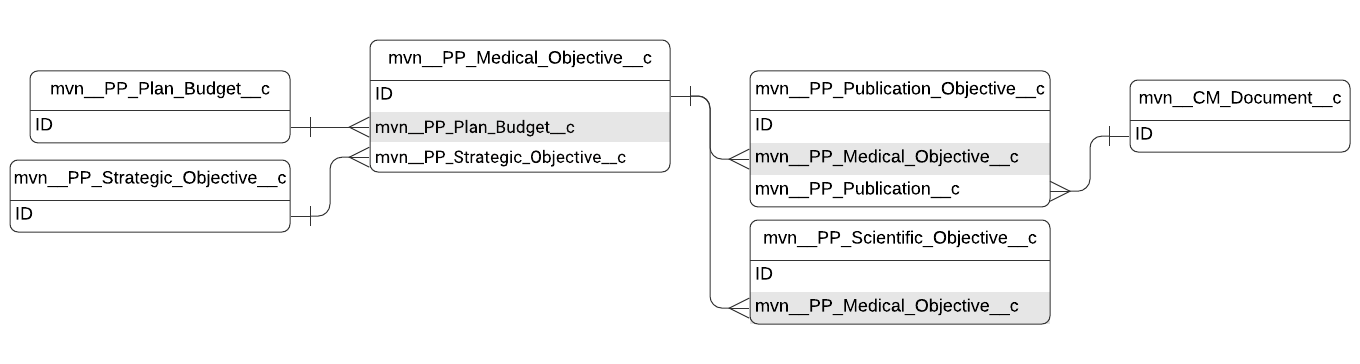 Medical Objective entity relationship diagram