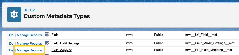 Field Mapping Custom Metadata type