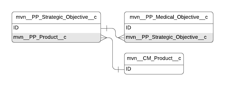 Strategic Objective entity relationship diagram