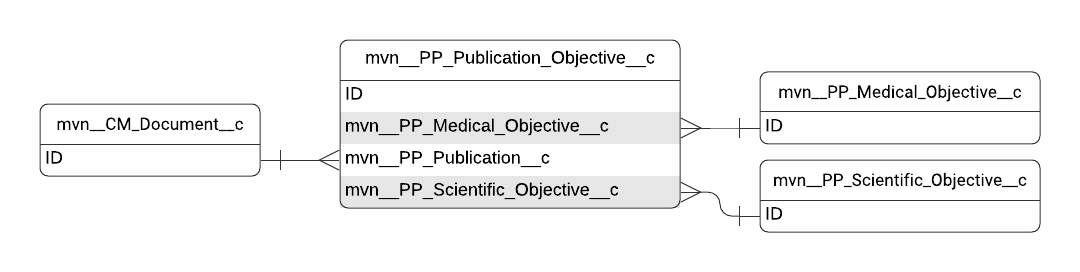 Publication Objective entity relationship diagram